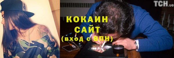 крисы Александровское
